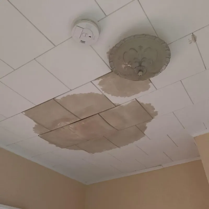 Ceiling Water Damage Repair in Belzoni, MS