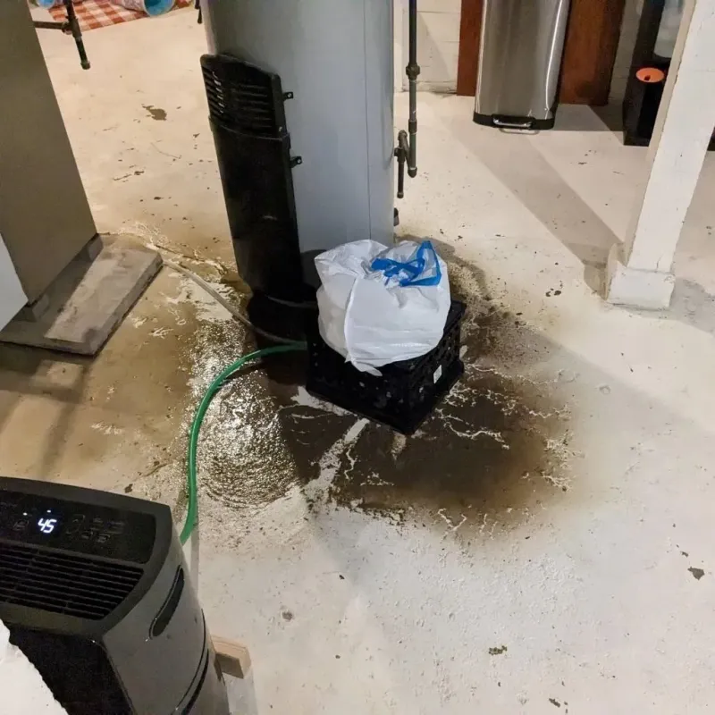 Sewage Backup Cleanup Service in Belzoni, MS